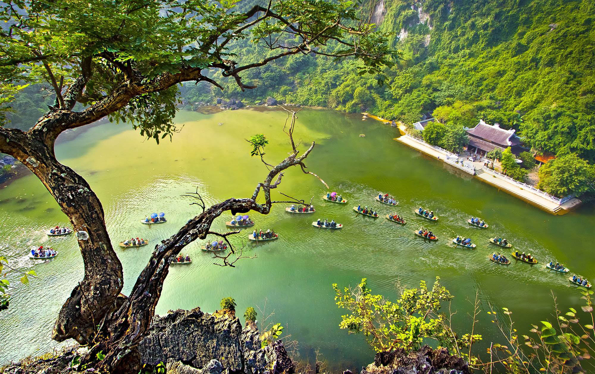 Ninh Binh Daily Trip